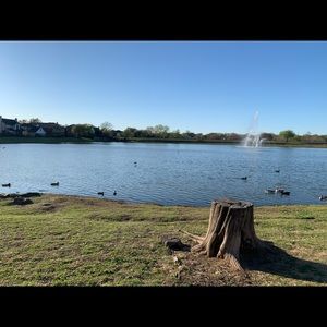 Meet your Posher, Devyani